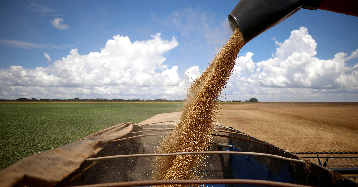 BNDES anuncia mais R$ 4 bi para linha em dólar do crédito rural