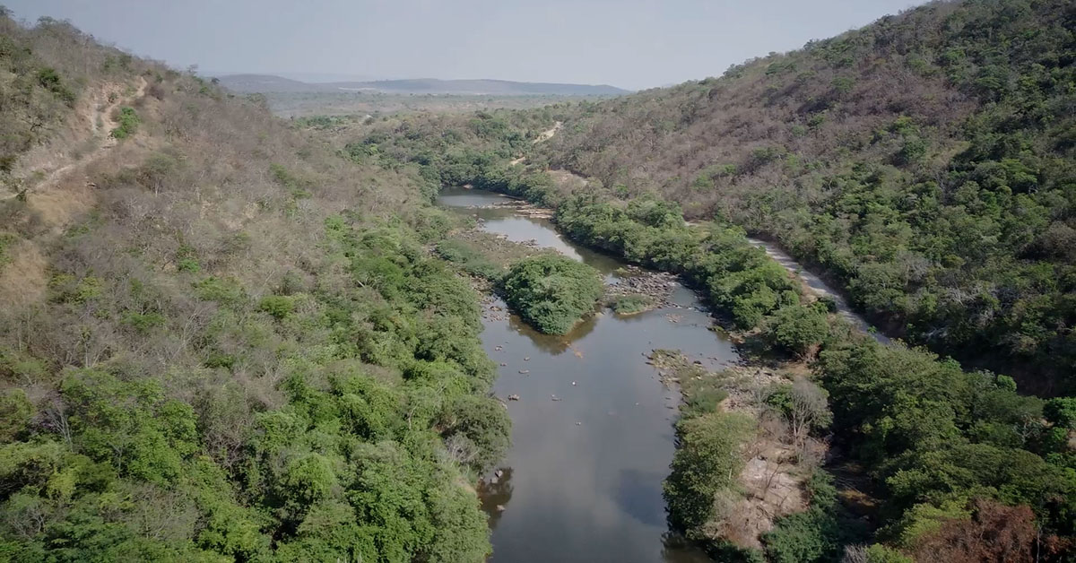 Leilão do Projeto Jequitaí ocorre hoje na B3