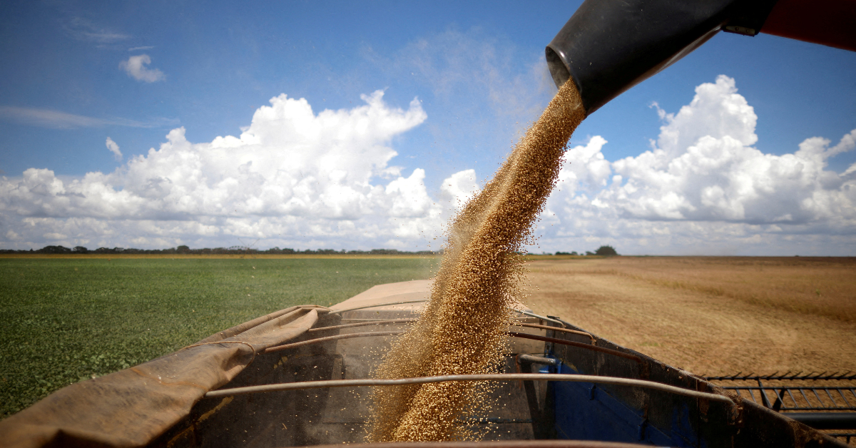 Inadimplência do produtor rural aumenta para 7,6% em 2024, aponta Serasa