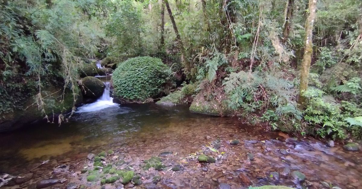 A Serra da Mantiqueira possui a maior concentração de água mineral do planeta | Crédito: Flavio Torres