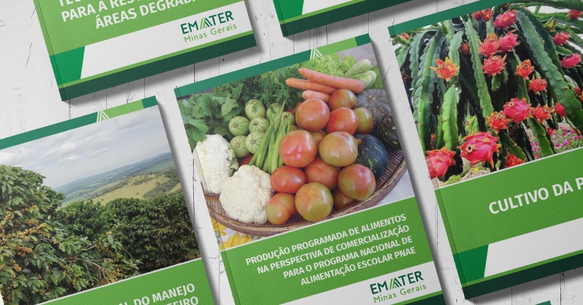 Uma breve história da Emater-MG