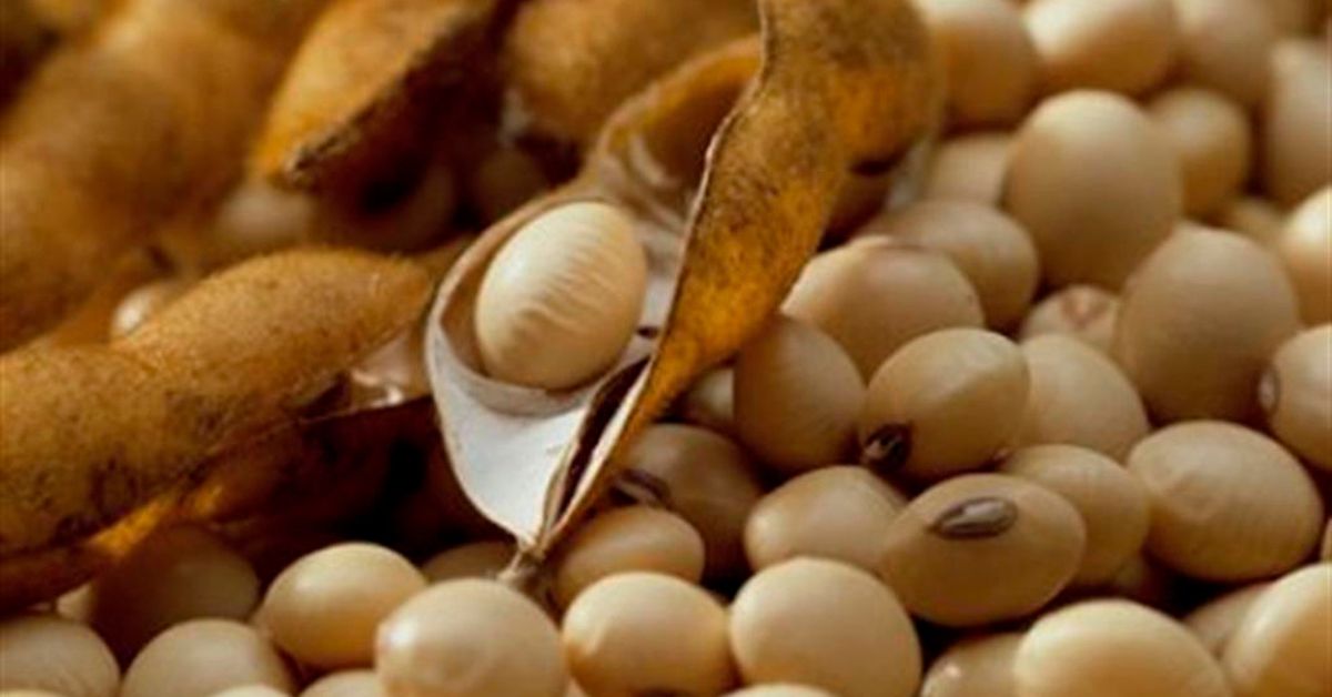 Exportação do agronegócio recua 5,3% em janeiro, para US$ 11 bilhões