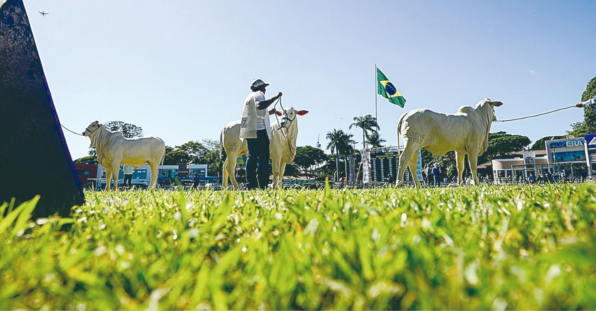 Expozebu deve movimentar mais de R$ 400 milhões em negócios