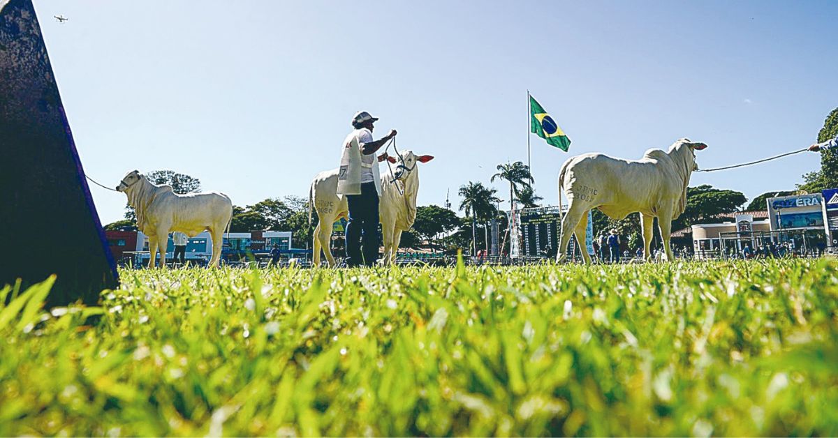 89ª Expozebu, realizada pela ABCZ, vai ser no período 27 de abril a 5 de maio, em Uberaba | Divulgação /  ABCZ