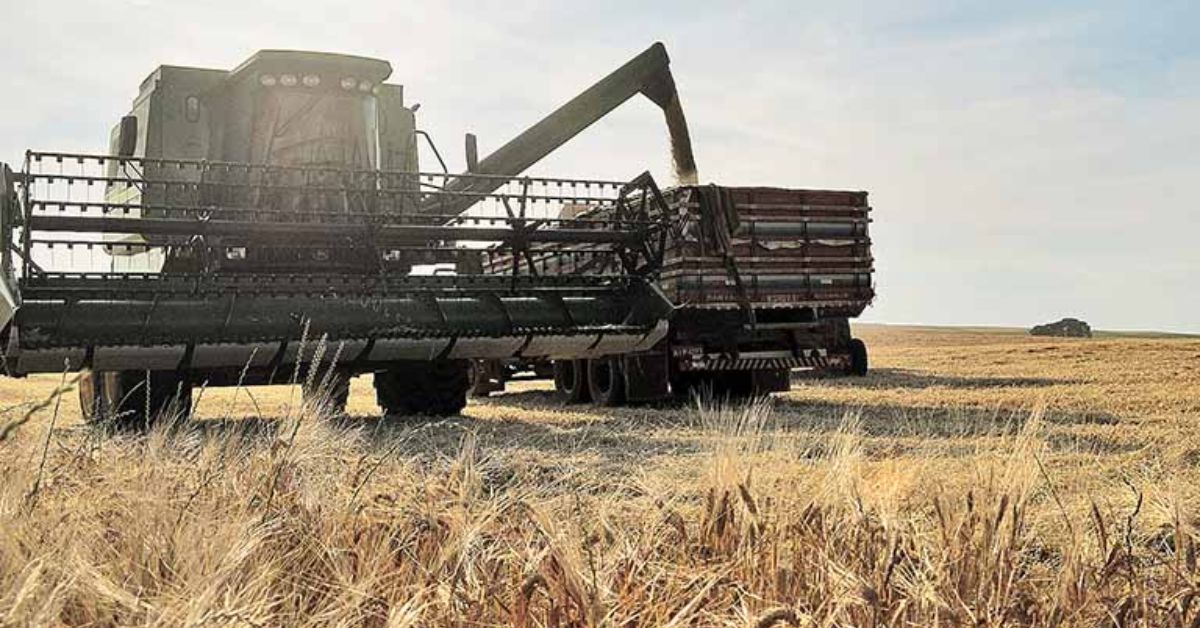 Taxação de fundos acende sinal de alerta para investidores e para o setor agroindustrial
