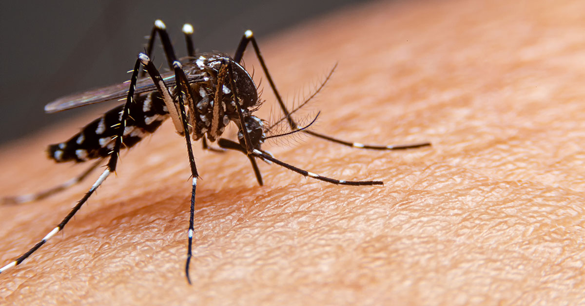 Dengue gera prejuízo de R$ 5,7 bilhões em Minas Gerais