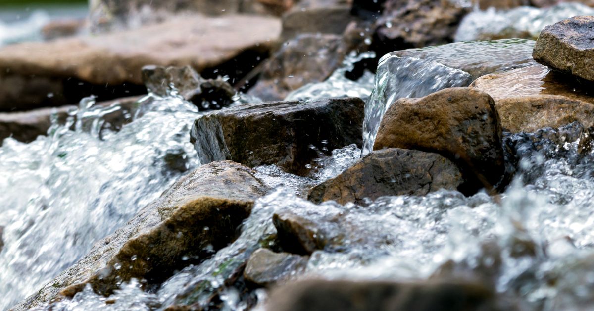 Programa Mananciais terá ações para recuperação ambiental na bacia do Rio Paraíba do Sul