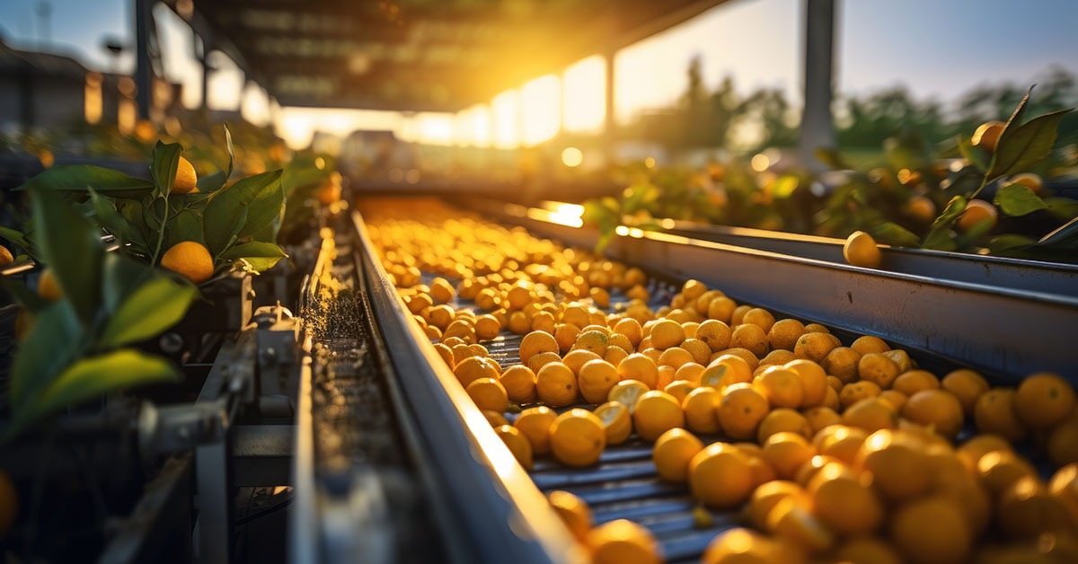 Metodologia inclui toda a cadeia produtiva, como agroindústrias | Crédito: AdobeStock