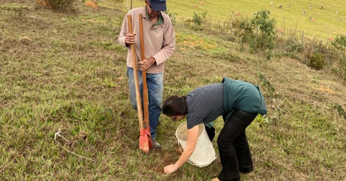 Projeto de recuperação do solo transforma paisagens na Zona da Mata; veja ‘antes e depois’