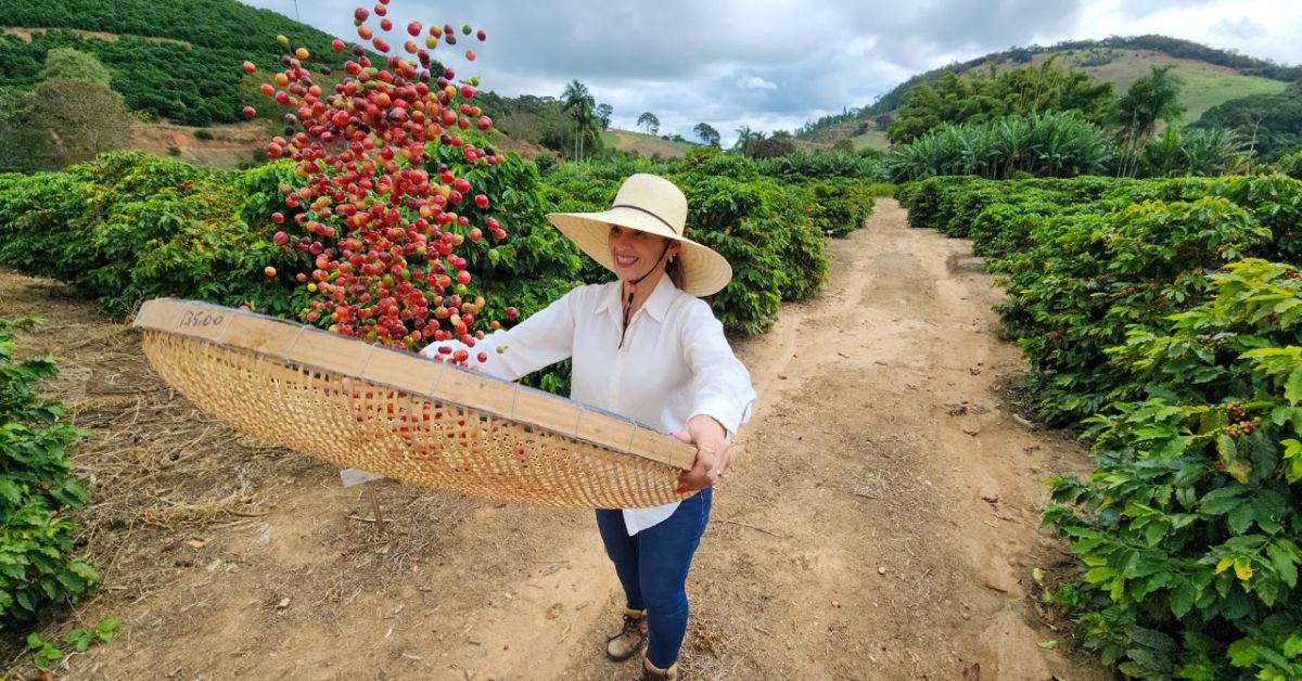 De commodity a café especial: produção de Caratinga valorizou 70% com descoberta