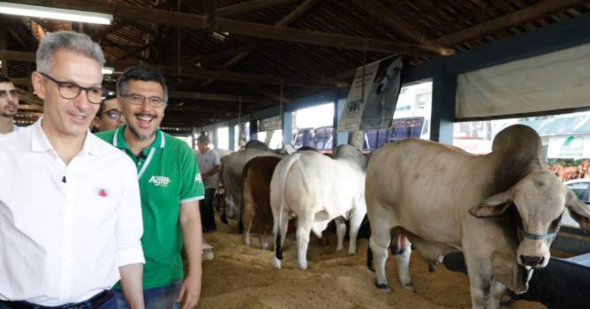 Governador Romeu na ExpoZebu, em Uberaba | Crédito: Cristiano Machado / Imprensa MG