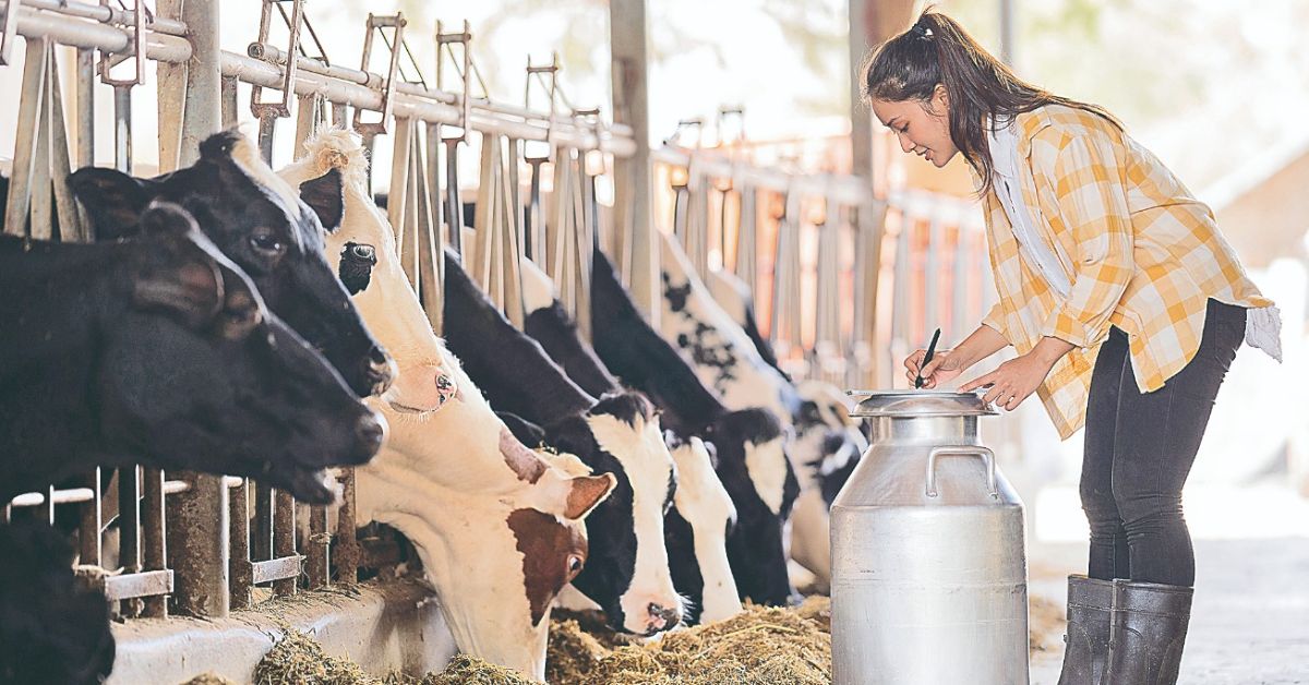 Preço do leite sobe, mas ainda é impactado pelas importações