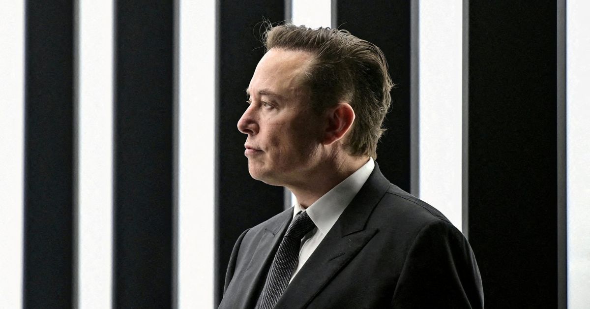 Quais seriam as intenções de Elon Musk?