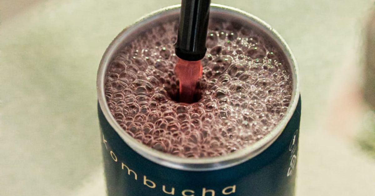 Marca mineira de kombucha ganha medalha de prata em concurso internacional