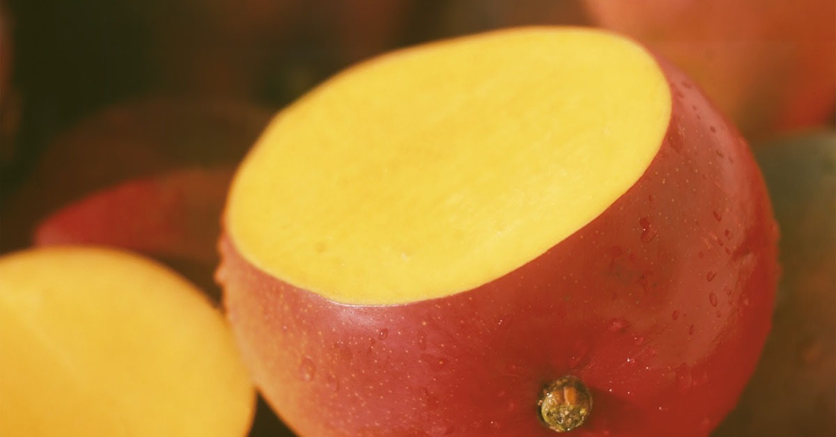 Projetos de irrigação da Codevasf produziram 229 mil/t de alimentos