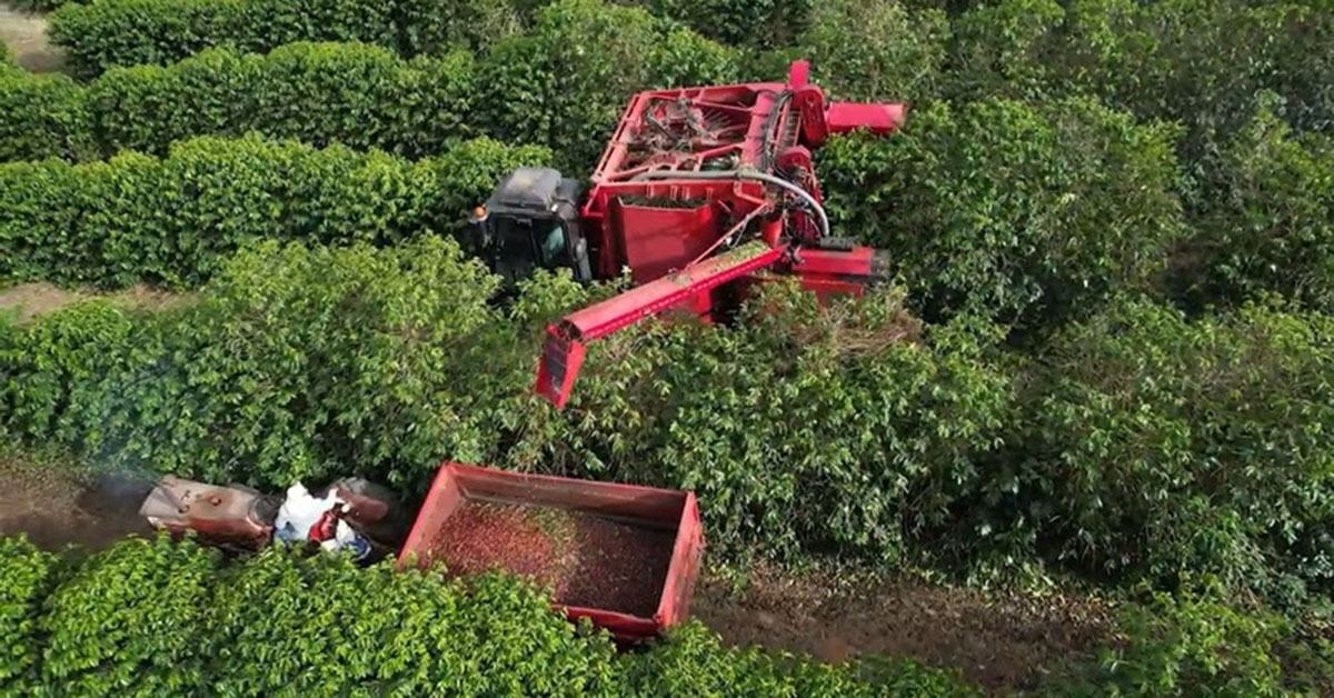 Cooxupé tem cerca de 19 mil cooperados, que vão poder agora contratar seguros diretamente | Crédito: Divulgação / Cooxupé 