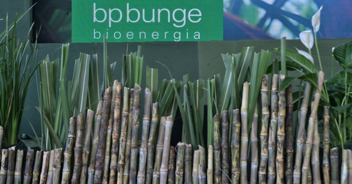 BP Bunge Bioenergia investe R$ 100 milhões em transformação digital no campo
