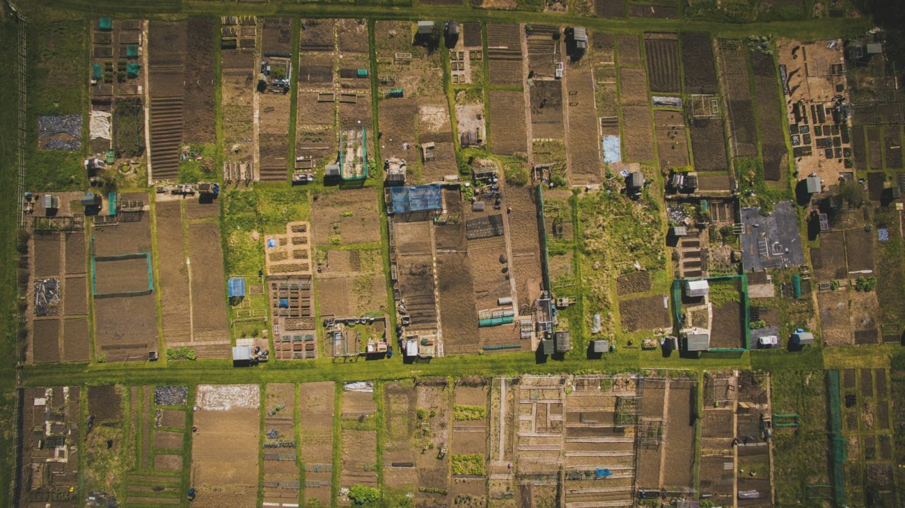 Loteadoras são parceiras estratégicas para o poder público no desenvolvimento sustentável das cidades