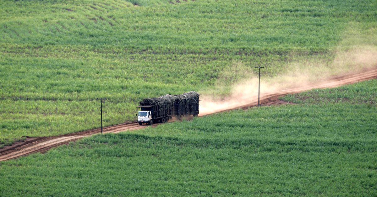 Mitsui e Geo lançam joint venture para produção de biogás e biometano no Brasil