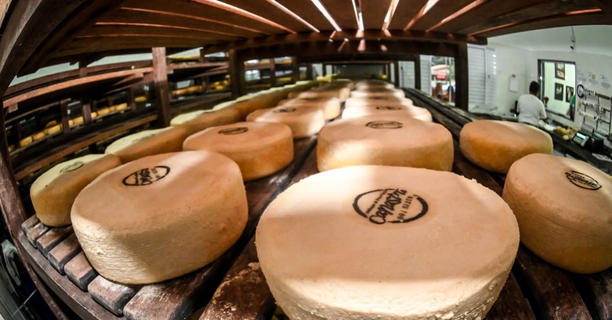 Escola de queijo Canastra fomenta empreendedorismo no segmento leiteiro