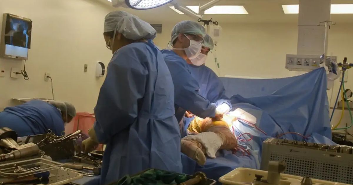 Setores de saúde e biotecnologia querem incorporar ao mercado a inovação regulada de dispositivos médicos