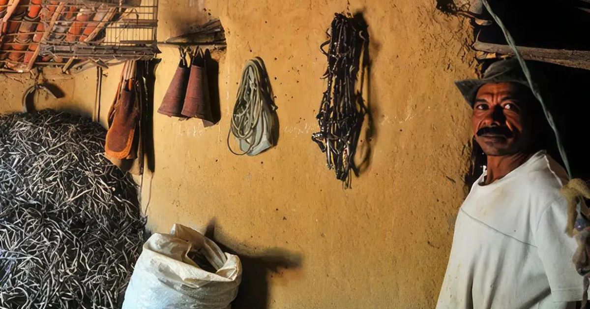 Comunidade quilombola em Minas é reconhecida pela Fundação Palmares