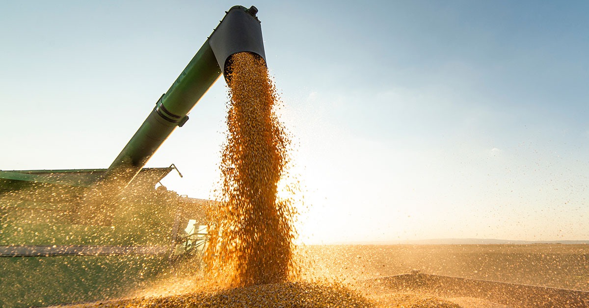 Desembolsos do crédito rural para Minas Gerais crescem 13% na safra 2023/24