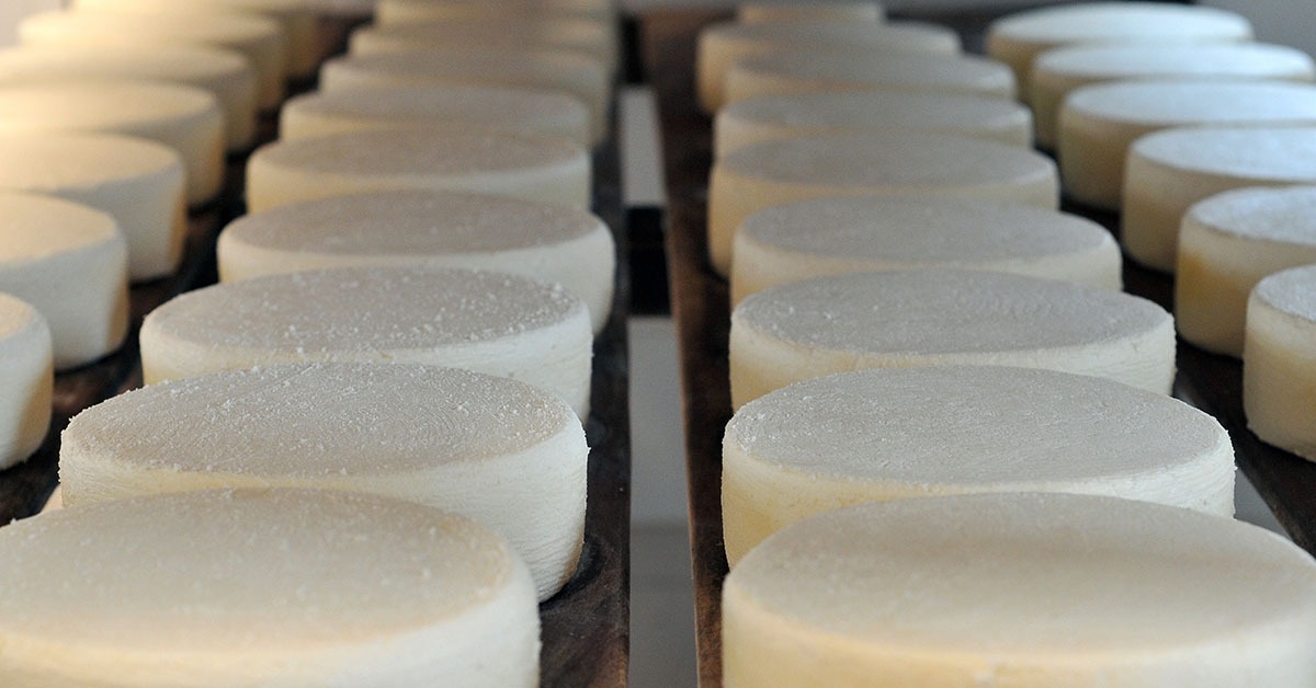 Dia do Queijo Artesanal: produto movimenta economia e turismo de Minas