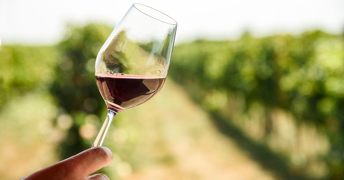 Vinhos premiados colocam Minas na rota do enoturismo