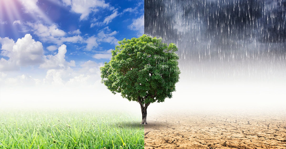 Plano de Ação Climática de Minas Gerais ainda precisa avançar