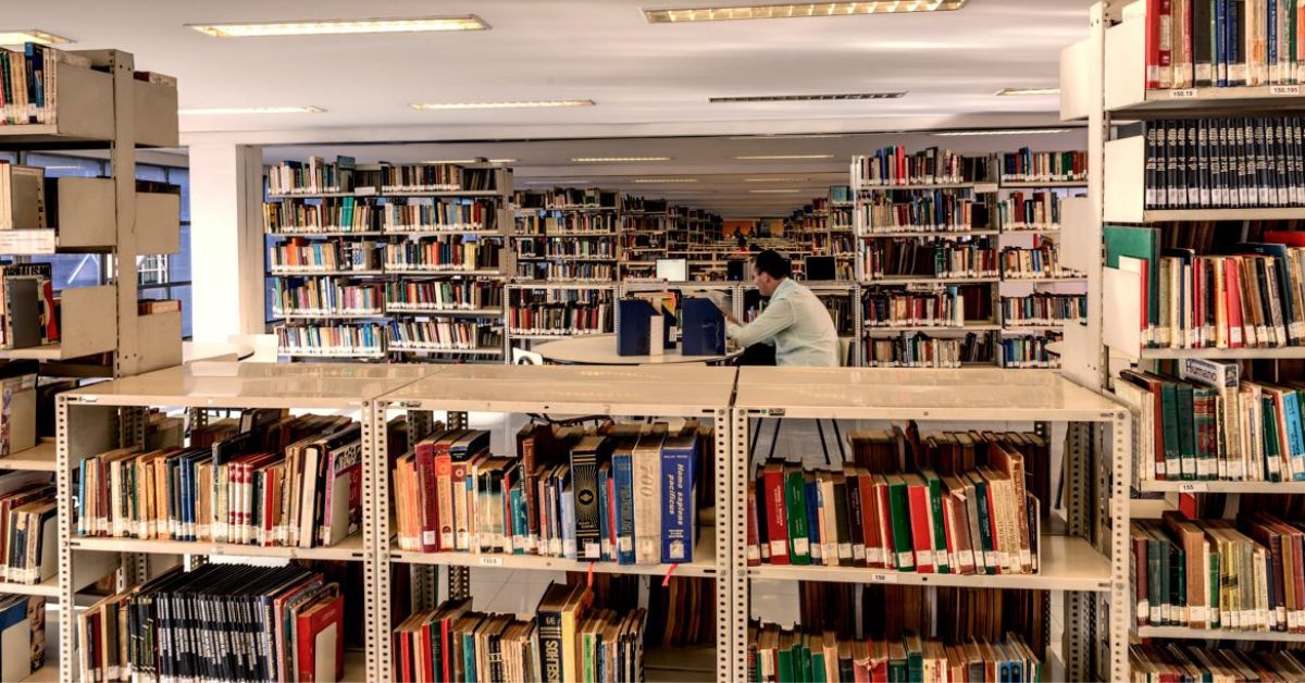 Livro ‘Os elefantes vieram pela manhã’ será lançado na Feira do Livro em São Paulo