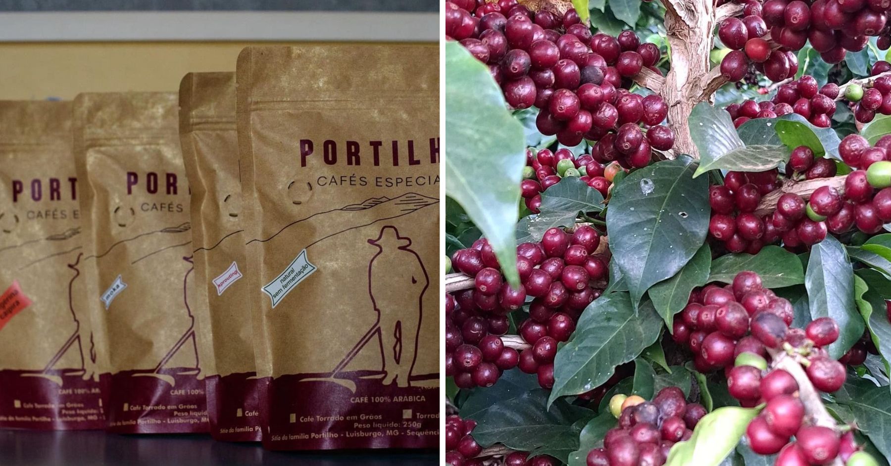 Cafés especiais mineiros estão entre os melhores do Brasil
