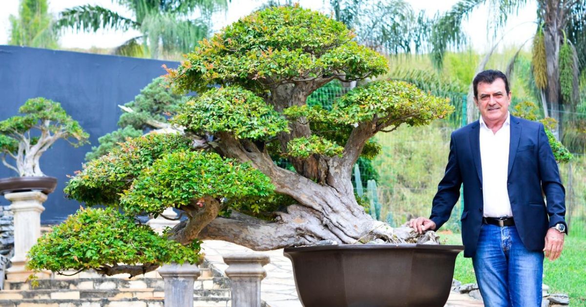 2ª Expo do Evento Bonsai
