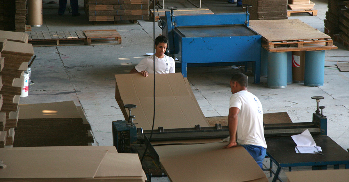 Norte de Minas debate possível instalação de fábrica de celulose