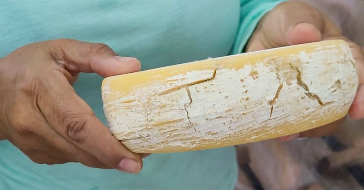 Minas produz requeijão a partir de queijo fora do padrão comercial