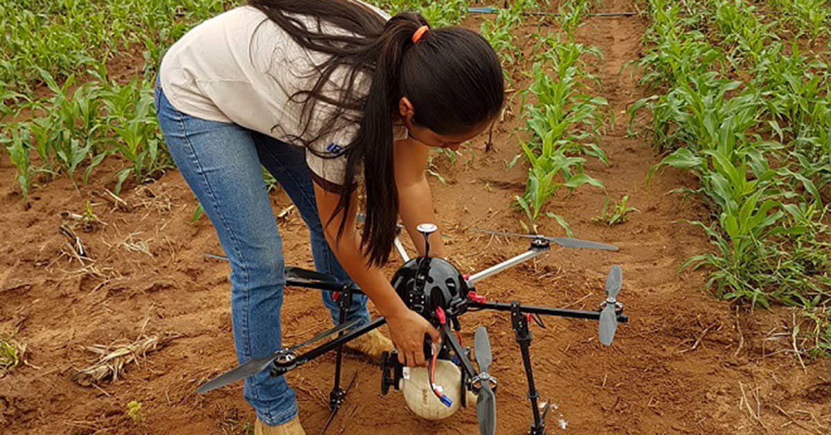 Uso de drones no agronegócio leva eficiência à produção 