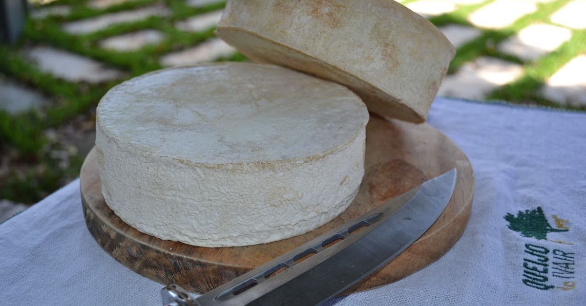 Queijo de Casca Florida Natural será regulamentado