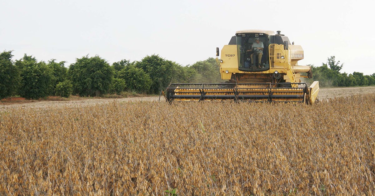 Valor recorde: PIB do agronegócio mineiro cresce 9,5% e chega a R$ 235 bilhões