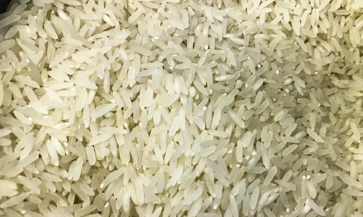 Conab vai doar sementes de arroz para agricultores familiares do RS
