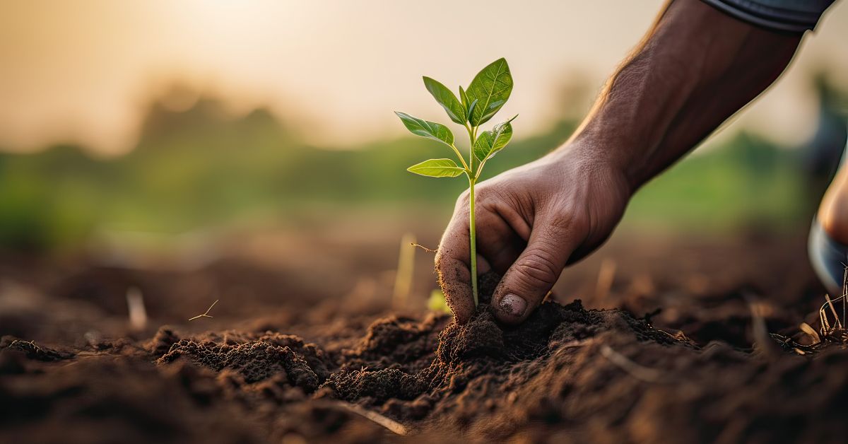 ‘Desenvolvimento sustentável se constrói nos territórios’