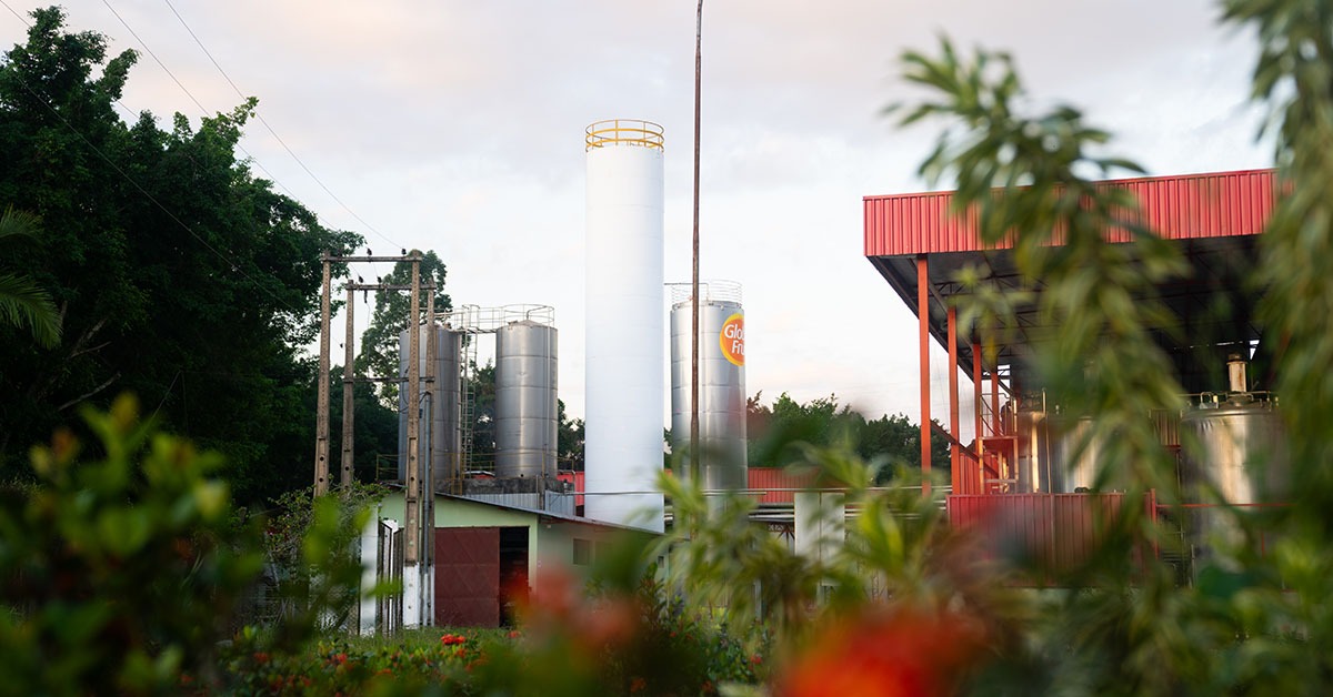 Aporte de R$ 44 milhões alavanca faturamento da Globalfruit
