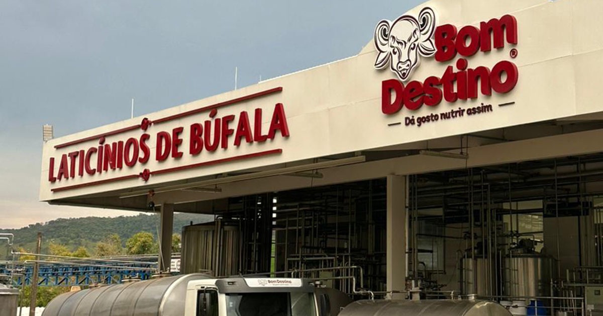 Bom Destino investe R$ 16 mi e vai produzir leite em pó de búfala, pioneiro no País