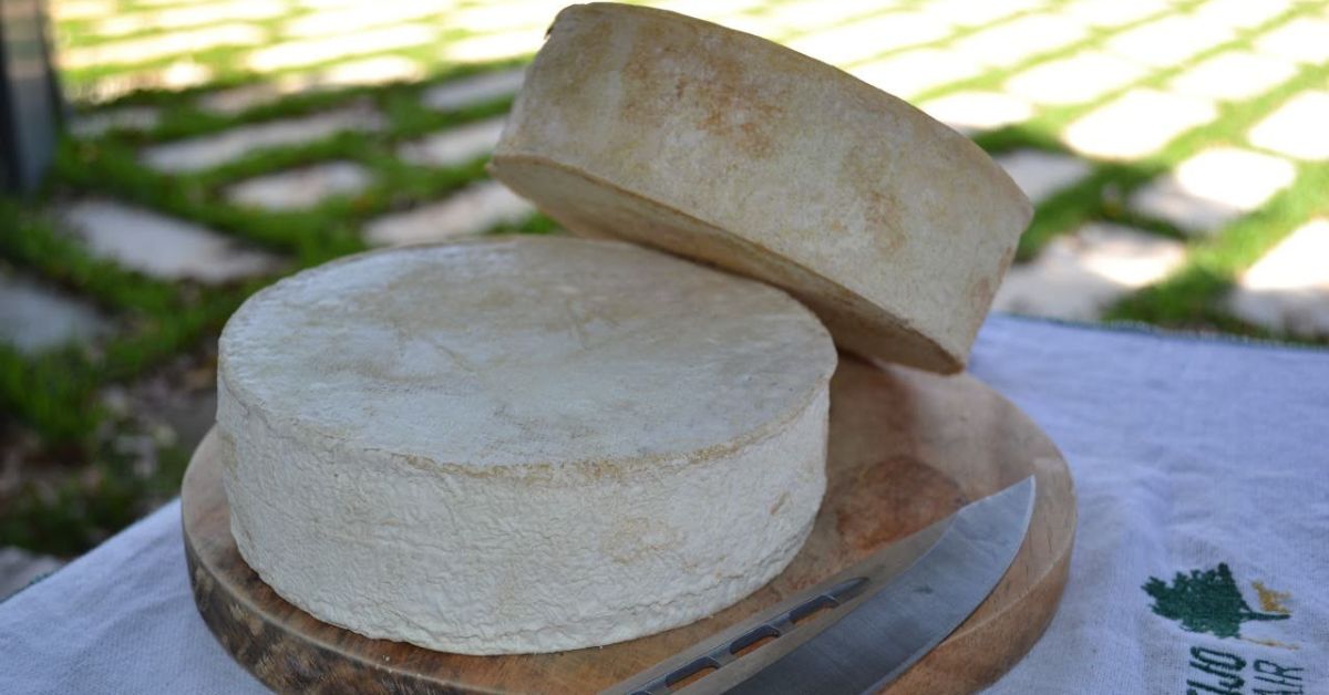 Queijo Minas Artesanal de Casca Florida Natural é regulamentado