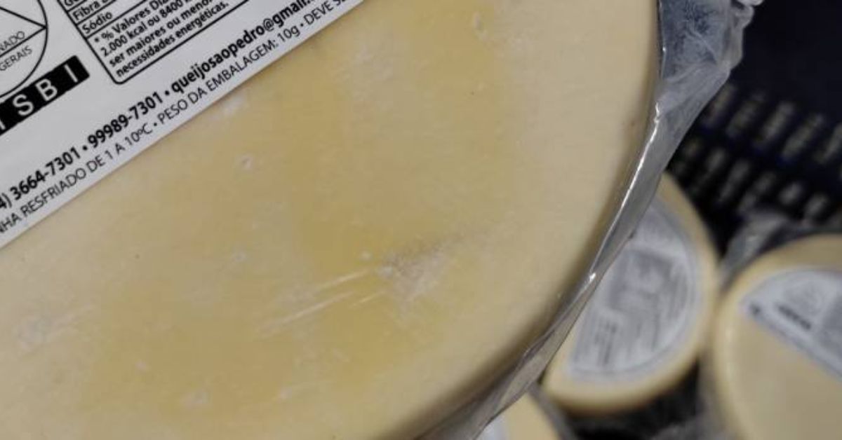 Queijo mineiro com fungo e leite cru: como manter a tradição sem abrir mão da segurança alimentar