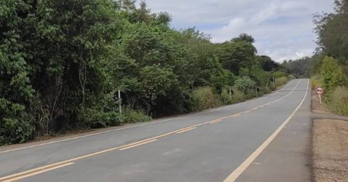 Novas concessões de rodovias vão exigir 1% da receita em medidas ambientais