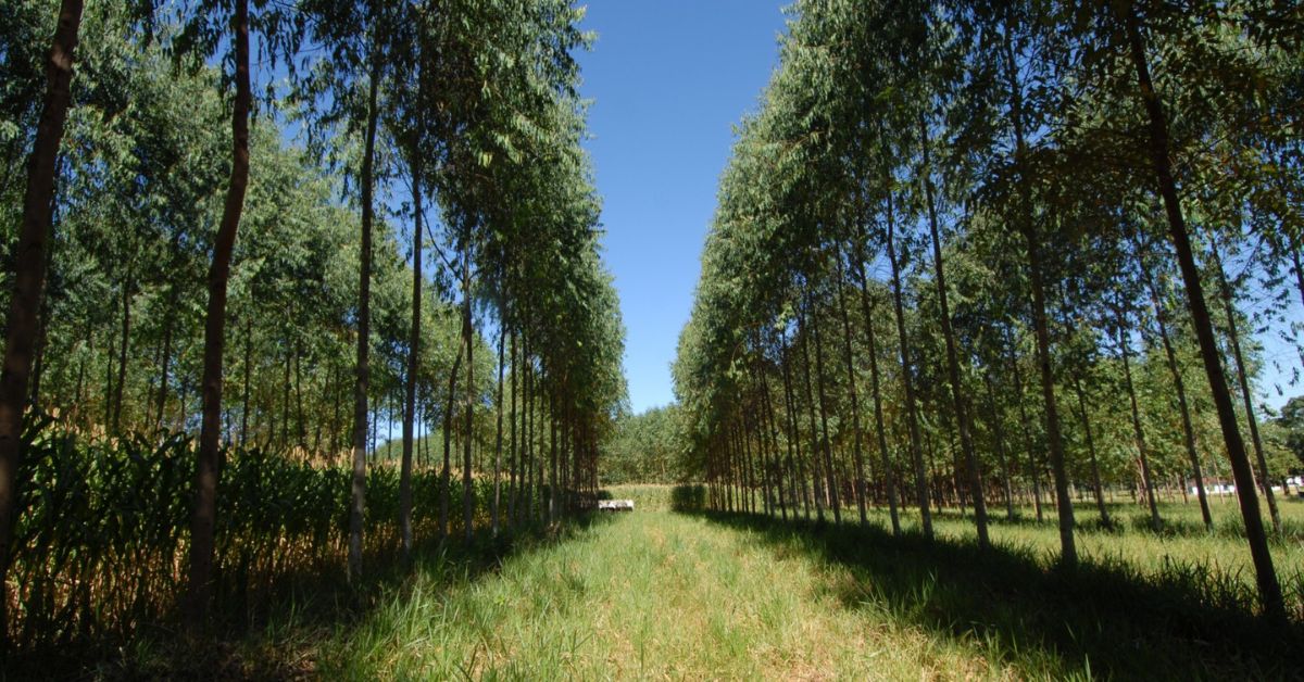 Tecnologias para o Vale do São Francisco são o tema da próxima etapa do Circuito Mineiro de Inovação
