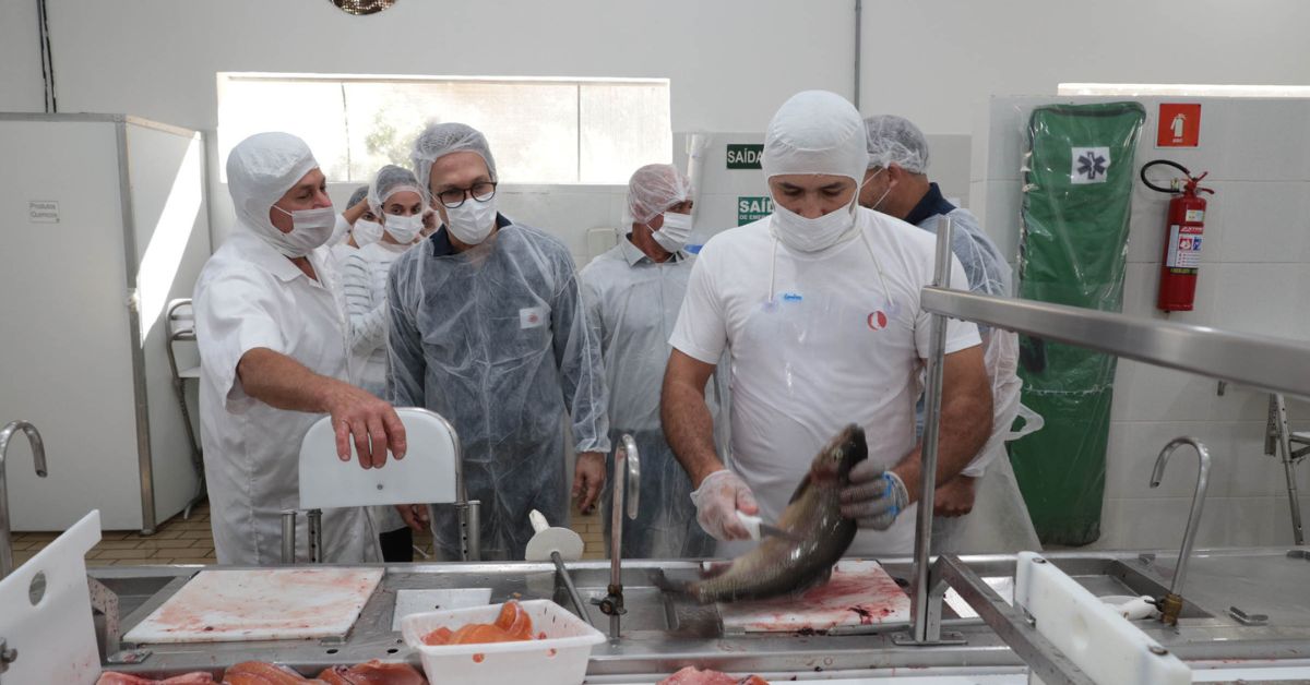 Sul de Minas Gerais abriga uma das maiores fábricas de trutas da América Latina