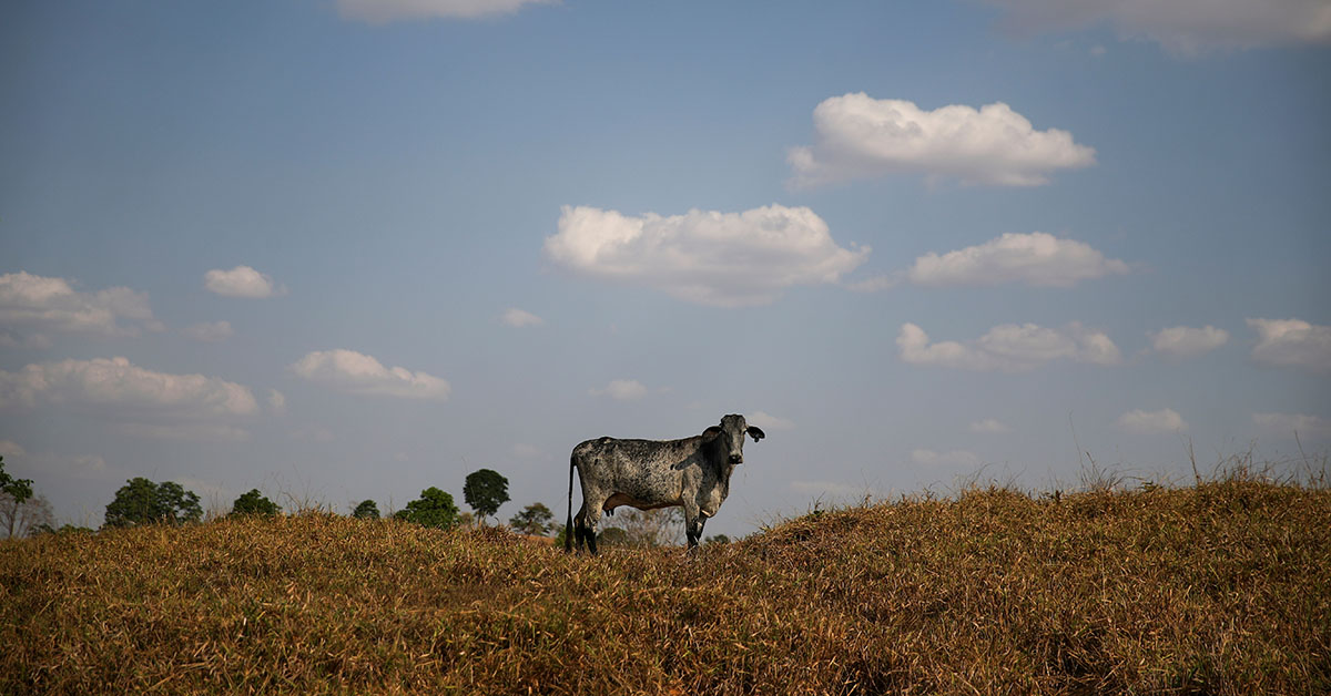 Mapa debate conservação de áreas degradadas com setor agropecuário de Minas