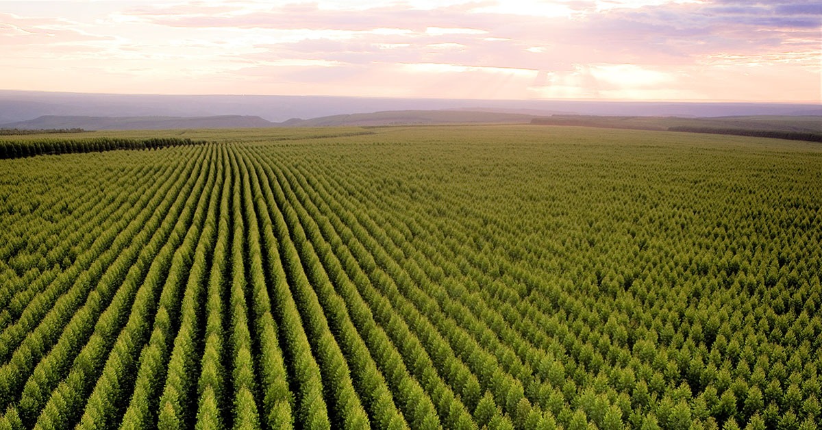 Modelo de licenciamento ambiental é simplificado