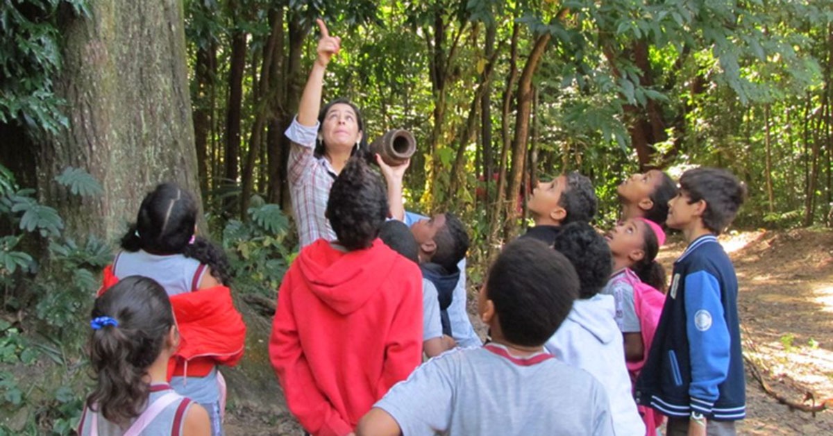 Museu da UFMG tem programação gratuita de férias em janeiro; confira